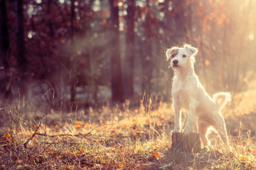 �1759910 �������(a): ����������:2560x1696